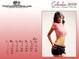 Calendar 2008, Calendar Photography, Delhi, India